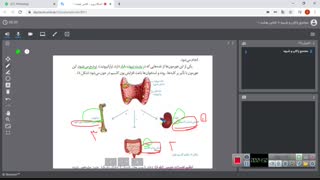 قسمت دوم فصل 6 ( تنظیم هورمونی)، پایه هشتم ، صبا ایزدیار