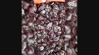 فروش لوبیا عروس امساله