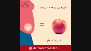 اندازه نوزاد در رحم