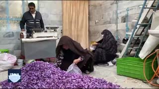 قطب زعفران و دغدغه کارگران