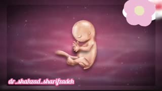 فیلم اتفاقاتی که در هفته نهم باردارى می افتد!!