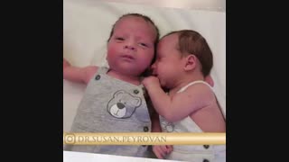 رضایت بیمار از انجام روش ivf توسط دکتر سوزان پیروان ، متخصص زنان و زایمان و درمان های فوق تخصصی ناباروری
