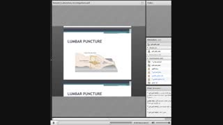 مقدمات اعصاب 20/8/99