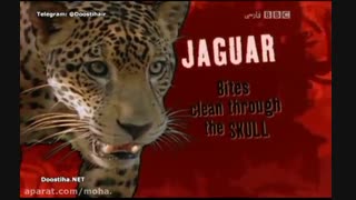 مرگ آفرینان 11 - Deadly 60