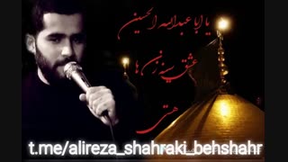 مداحی بسیار زیبا از علیرضا شهرکی