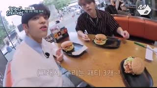 قسمت دوم از فصل اول برنامه Finding Stray Kids با زیرنویس فارسی آنلاین