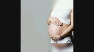 مراحل تکامل جنین