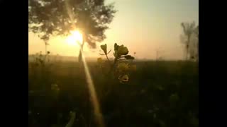 تاریخ نانوشته