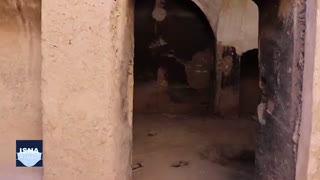 بعد از قرن‌ها، وحشی خانه‌دار شد