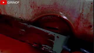 پخت پز انسان در دیپ وب !!! | داستان ترسناک و واقعی دیپ وب با گیرینوف