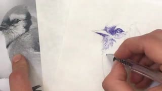 طراحی پرنده تکنیک خودکار.قسمت ششم.افروزسعیدیان