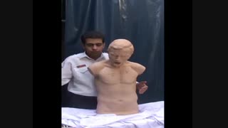 مانور هایملیخ