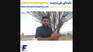 سر پیری و معرکهگیری یا سر پیری و تنهایی یا...