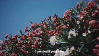 ENHYPEN  WALK THE LINE پیش نمایش البوم جدید