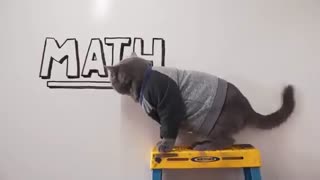 How to be better purr_son