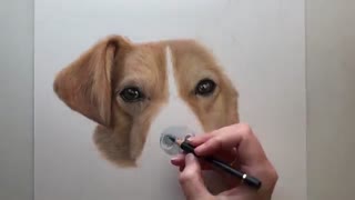 نقاشی سگ با استفاده از مداد رنگی