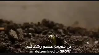 تو رو نمیتونن دفن کنند