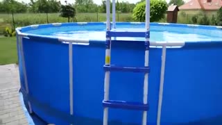 استخر بست وی