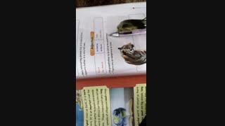 Live oh no oh no oh no no no no no