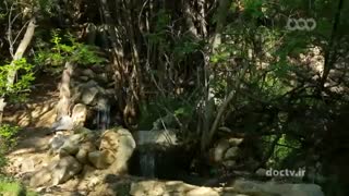روستای ماودر از توابع شهرستان طبس در استان خراسان جنوبی