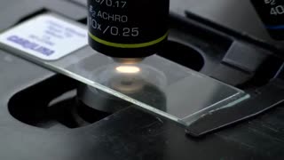 Basic Microscope Setup and Use