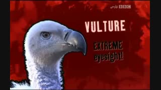 مرگ آفرینان 12 - Deadly 60