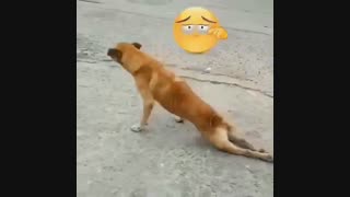 بمیرم براش اخی