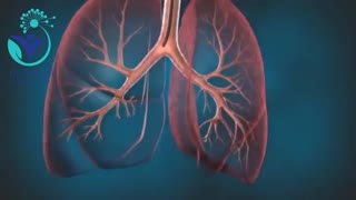 همه چیز درباره بیماری آسم