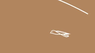 آرگانو; سرویس راهکارهای هوشمند بازاریابی سلامت