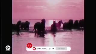 موزیک ویدیو تودلی(حمید صفت)