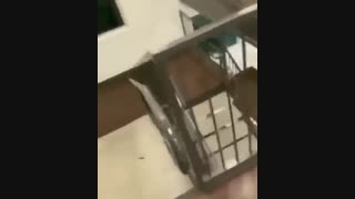 به فنا رفت ههییییع خخخخخخ