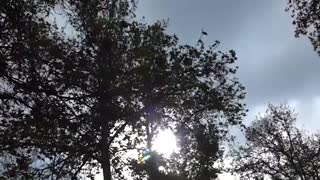 کلیپ "روزهای نبودنت"عاشقانه و غمگین با اجرای زیبای هنگامه شعبانی