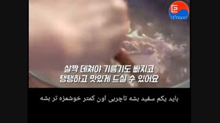 آموزش  درست کردن غذای کره ای  ( کلبی )