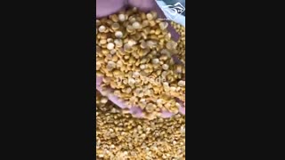 قیمت روز لپه آذرشهر