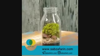 آموزش ساخت تراریوم