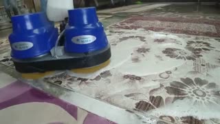 پولیشر دو فرچه