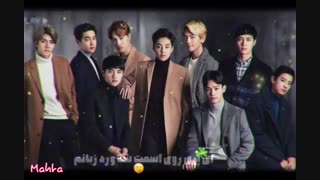 ادیت از اکسو