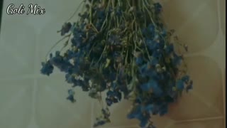 نبار بارون ... میکس ترکیبی سریال های کره ای