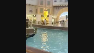 ونیز در قطر!