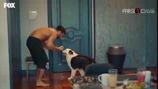 سریال  آقای ناشایست  Bay Yanlis قسمت 1 دوبله فارسی