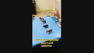 توانمند سازی کودک در جهت رفتن به مدرسه