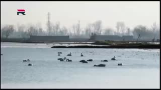 شش قهرمان و نصفی قسمت 2