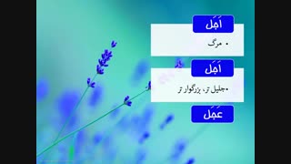 آموزش واژگان متشابه املایی کنکور