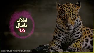 دانلود آهنگ شلوار پلنگی میلاد قربانی -{ سردمداری مرد نبردی