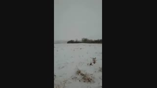 بارش برف پائیزی در زنجان 99.09.06