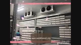 سردخانه بردادران حقیقی 2