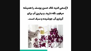 روش های نگهداری حسن یوسف