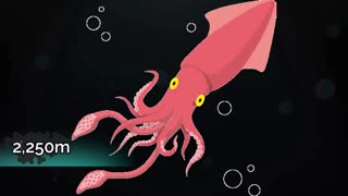 بشرهنوز 95% اعماق اقیانوسها را نمیشناسد