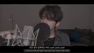 black swan [BTS]-Cover by UL 울