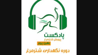 پادکست دوره نگهداری شترمرغ-قسمت اول